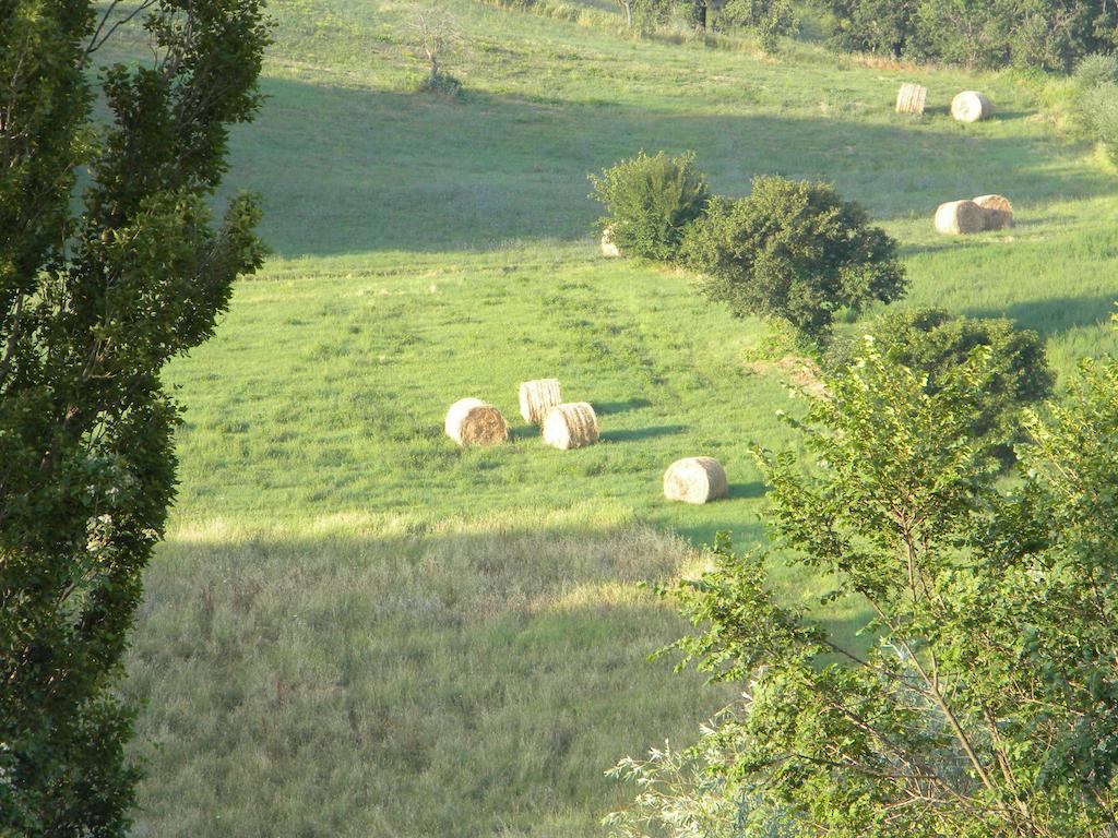 Agriturismo Borgo San Benedetto Villa Pietralunga  Kültér fotó