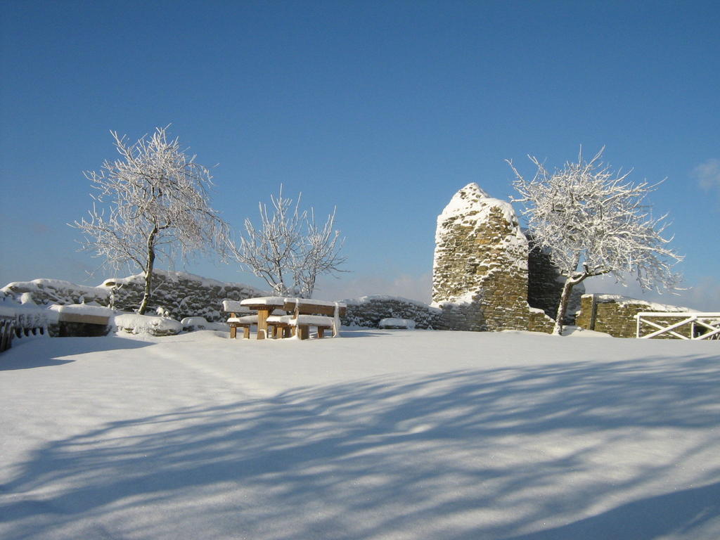 Agriturismo Borgo San Benedetto Villa Pietralunga  Kültér fotó